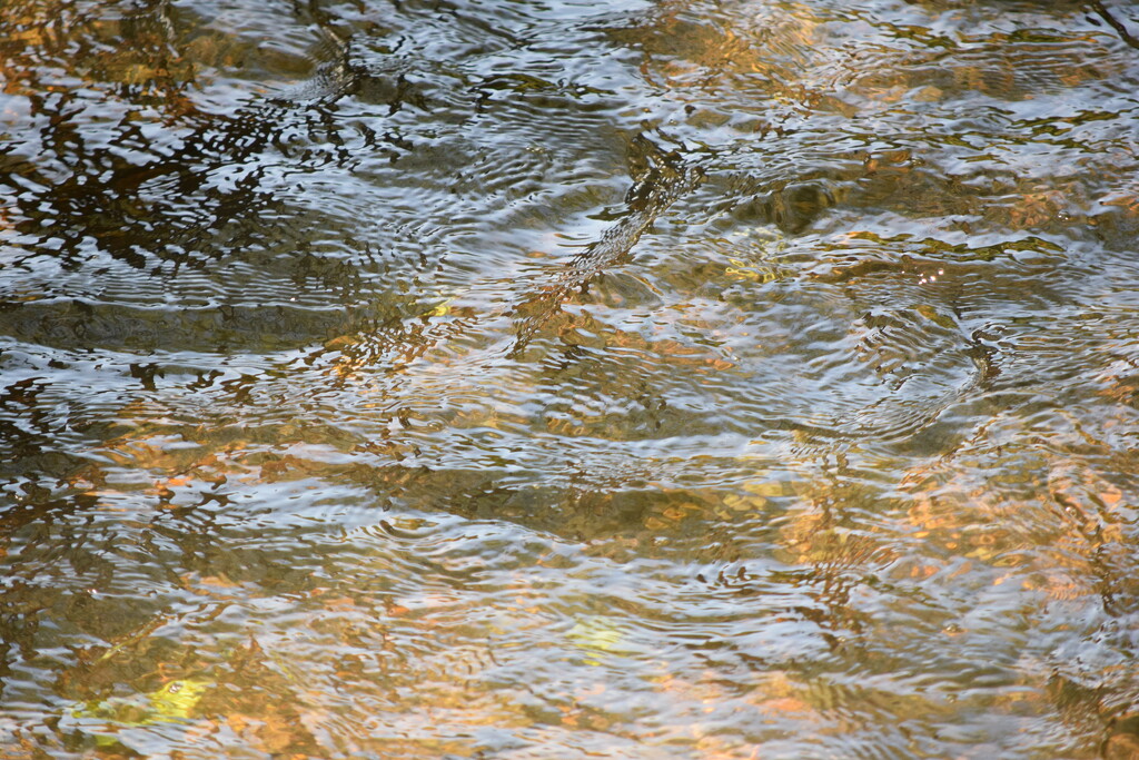 Ripples 5 by dragey74