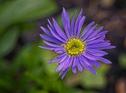 4th Jun 2025 - A Pleasant Surprise