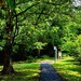 The Dollis Valley Greenwalk 