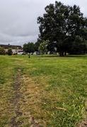 5th Jun 2025 - Desire path