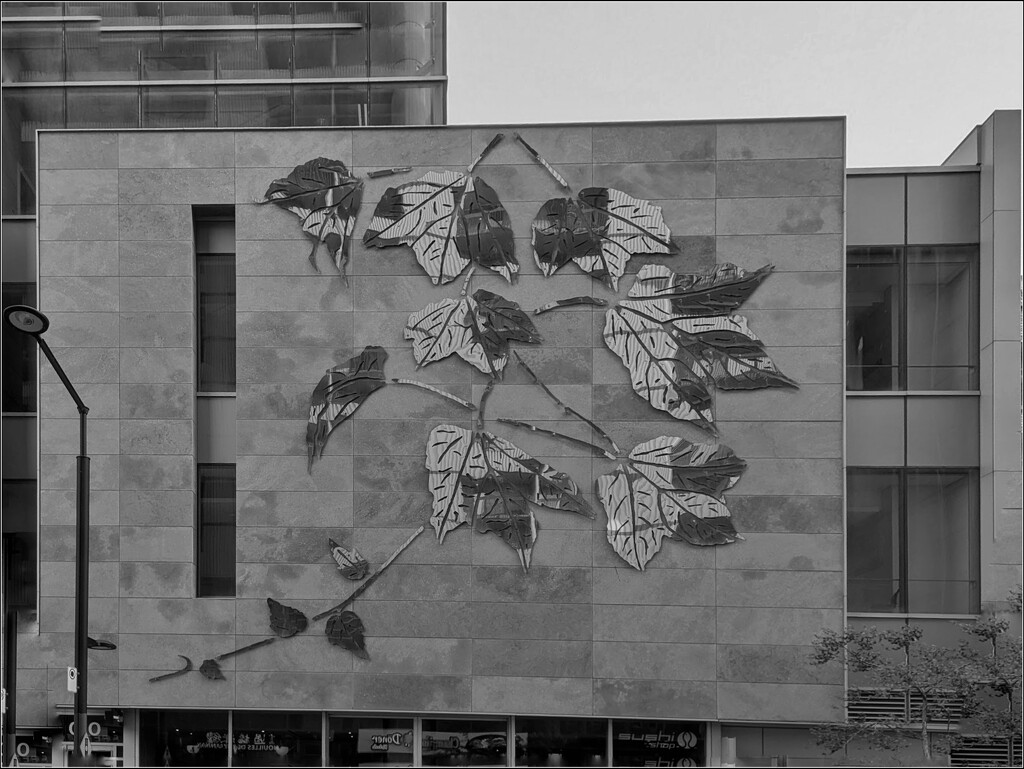 Organic street art by zilli