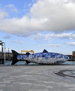 6th Jun 2025 - The salmon of knowledge