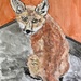 Little fox