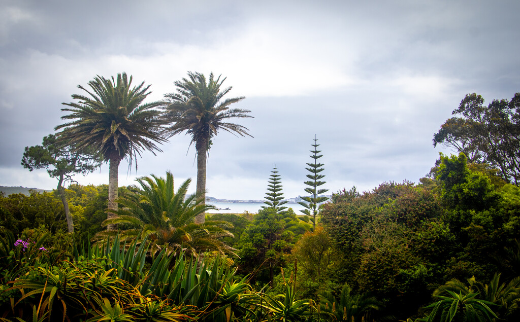 Tresco by swillinbillyflynn