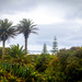Tresco