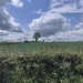 IMG_20250606_133848