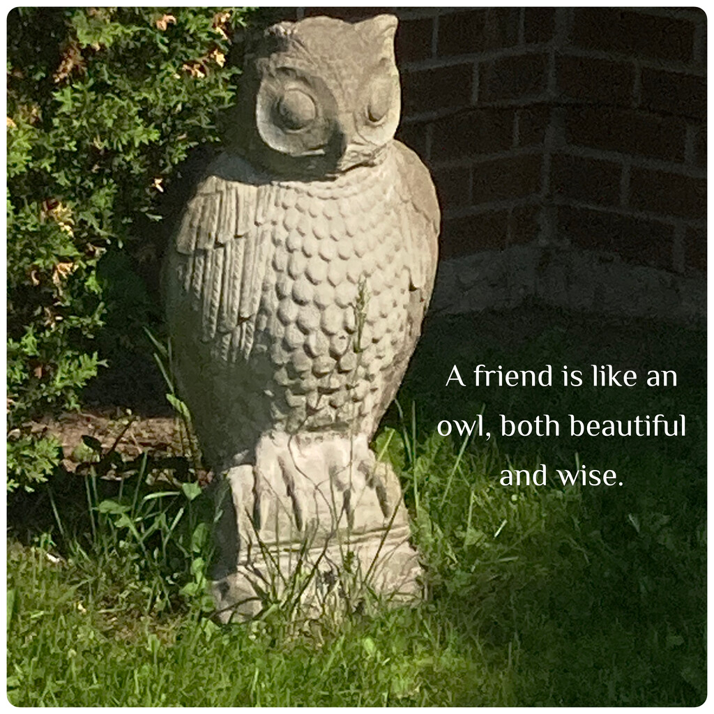 A Friend Is Like an Owl by spanishliz