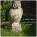 A Friend Is Like an Owl