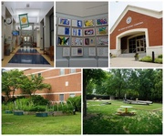 7th Jun 2025 - Seen at Collegiate