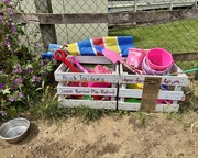 7th Jun 2025 - Leave, Borrow, Play, Return