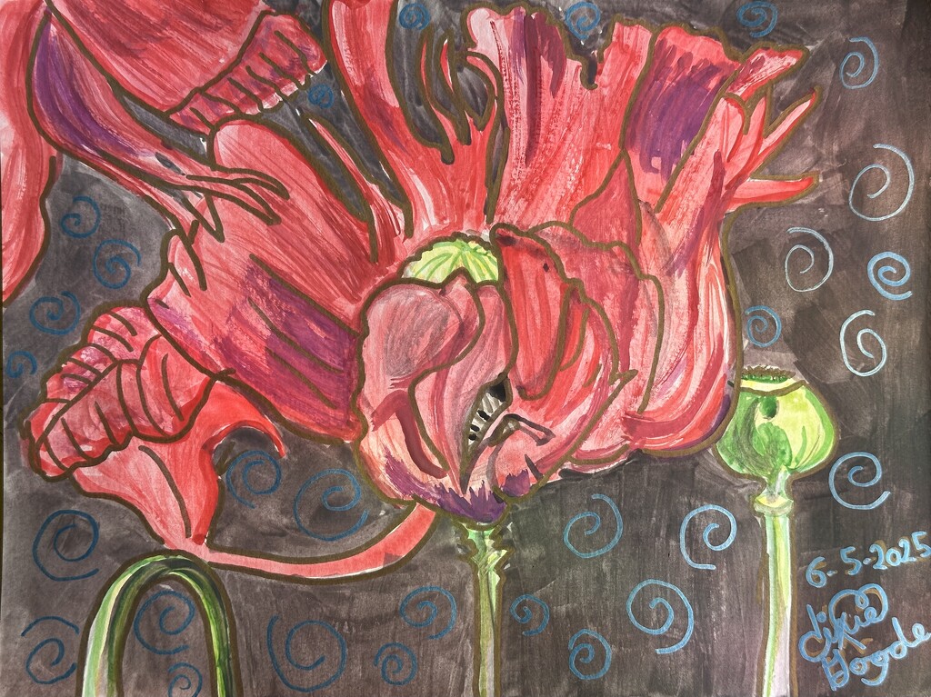 A Poppy for Susan’s neighbor by pandorasecho