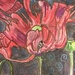 A Poppy for Susan’s neighbor