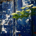Paint damage 