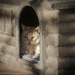 Mimí - the cat