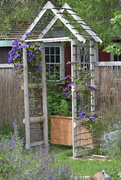 6th Jun 2025 - In A Neighbor's Garden...