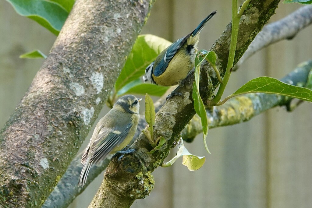 Mother brings Lunch. by carole_sandford