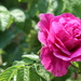 A Welcome Reprieve