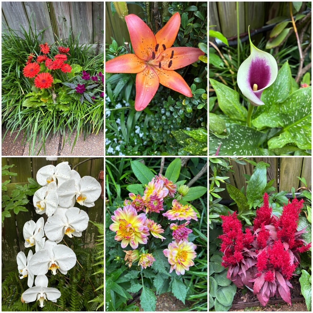 Teaser for Patio Tour by allie912