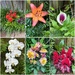 Teaser for Patio Tour