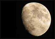 7th Jun 2025 - June Moon