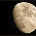 June Moon