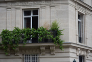 6th Jun 2025 - windows