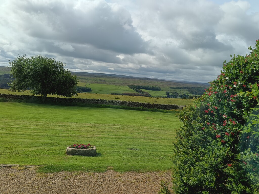View From The Living Room  by carolmw