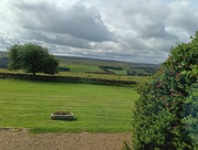 8th Jun 2025 - View From The Living Room 