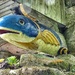 Here........fishy.....fishy.....
