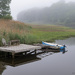 Foggy, dreary day