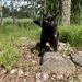 Mökö