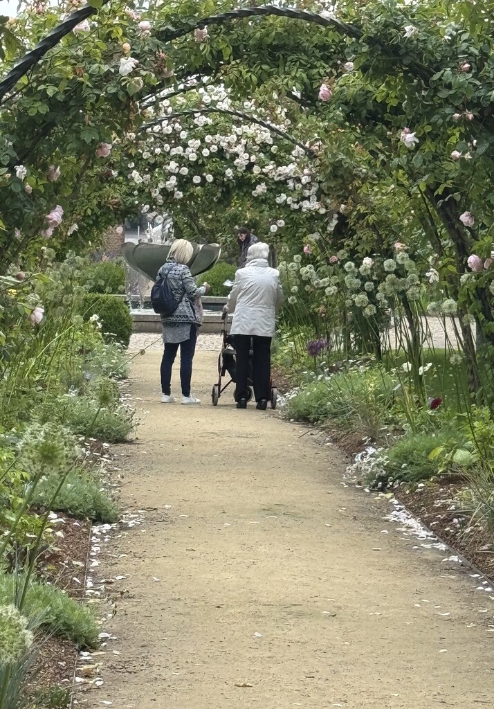 Two ladies enjoying the roses by alipalk59