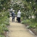 Two ladies enjoying the roses
