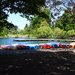 Green Lake Park 