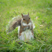 20240703-OM_094644-Edit_365