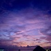 Purple sky. 