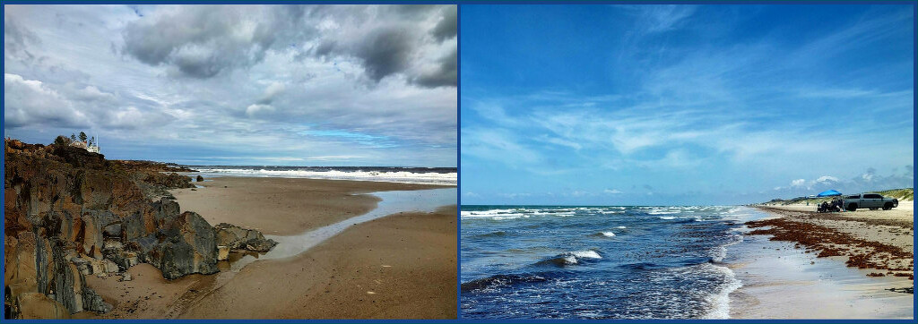 Coastal Collage by olivetreeann