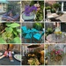So Many Bright Spots on the Patio Tour