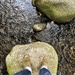 Step stones