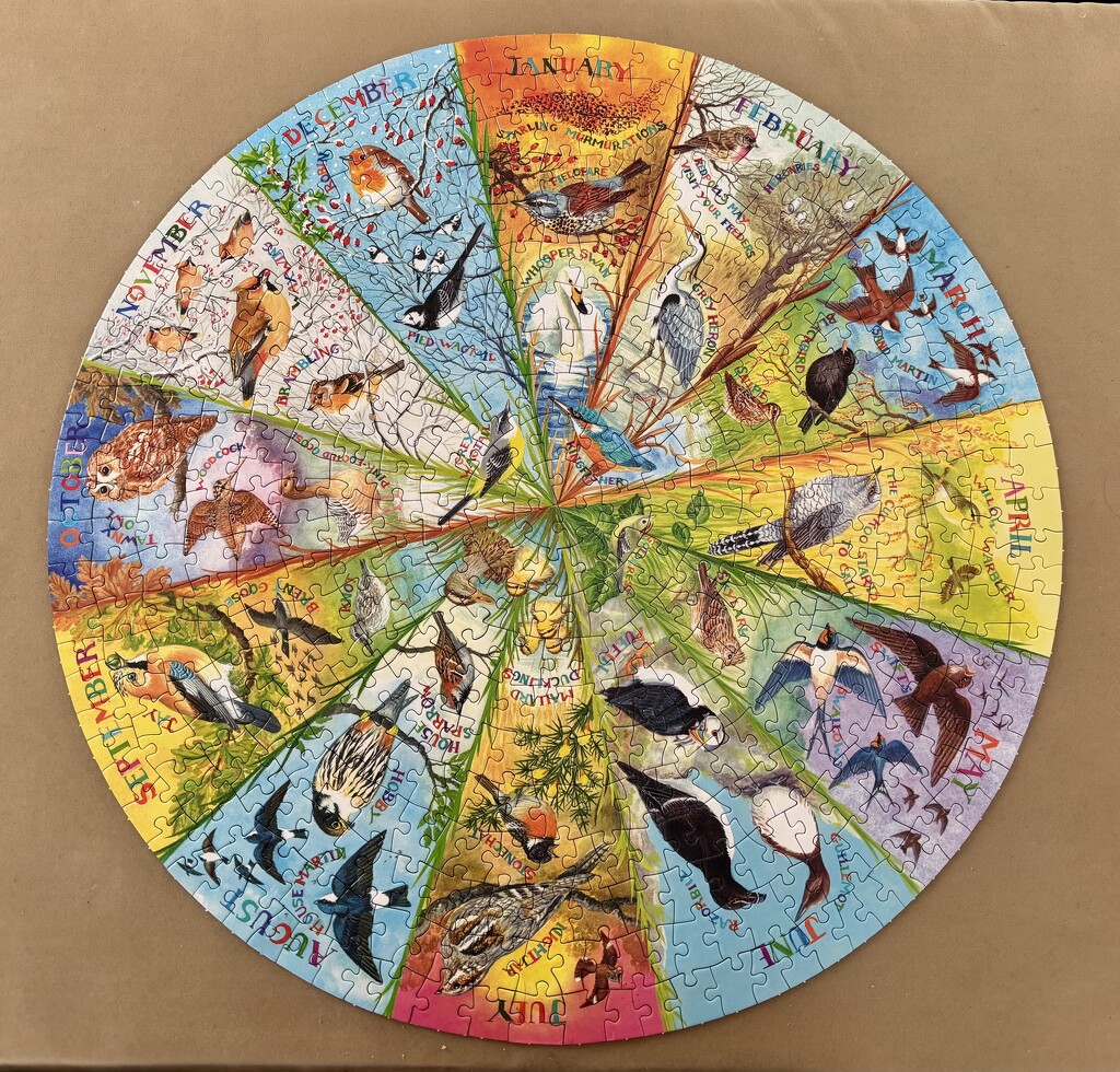 A year of Birds by gillian1912