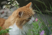 9th Jun 2025 - Billy