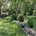 Garden, June words