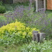 More From Neighbor's Garden...