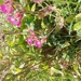 IMG_20250606_120930 (1) (1)