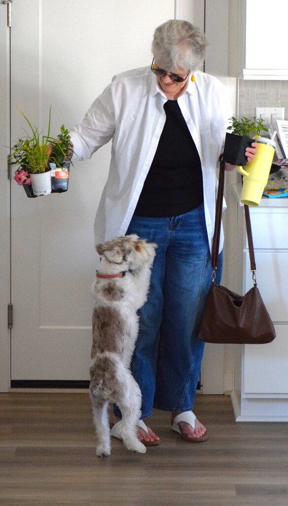 Welcome Home, Mom! I Missed You! by richyoung