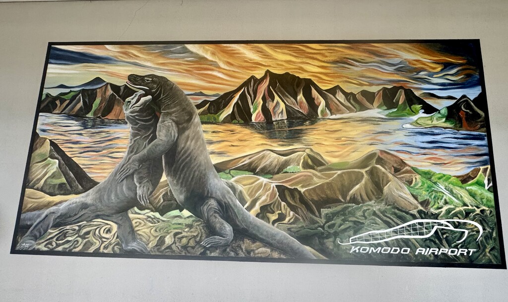 Bye Komodo.  by cocobella