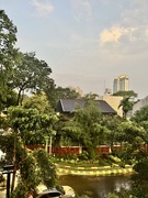 10th Jun 2025 - View. 