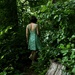 Green getting lost in the forest 