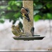 The youngster  in the front by rosiekind
