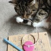 My Little Helper